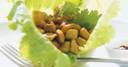 Nidos de lechuga