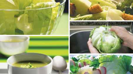 Refrescantes lechugas