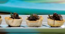 Cesticas con hongos