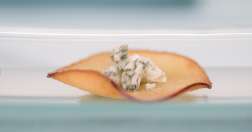 Chips de manzana